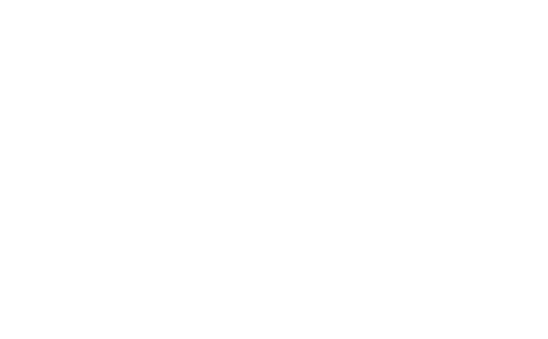 Slate Digital